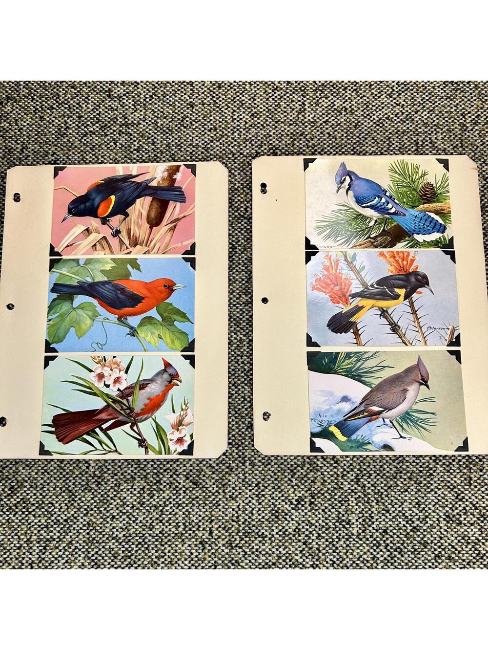 Vintage 1959 NWF Bird Postcard Lot Roger Tory Peterson Art